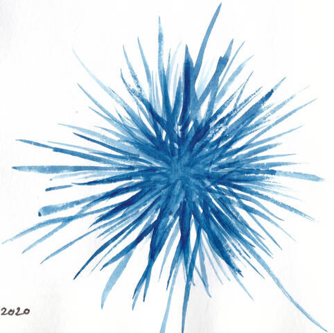 Sea Urchin blue